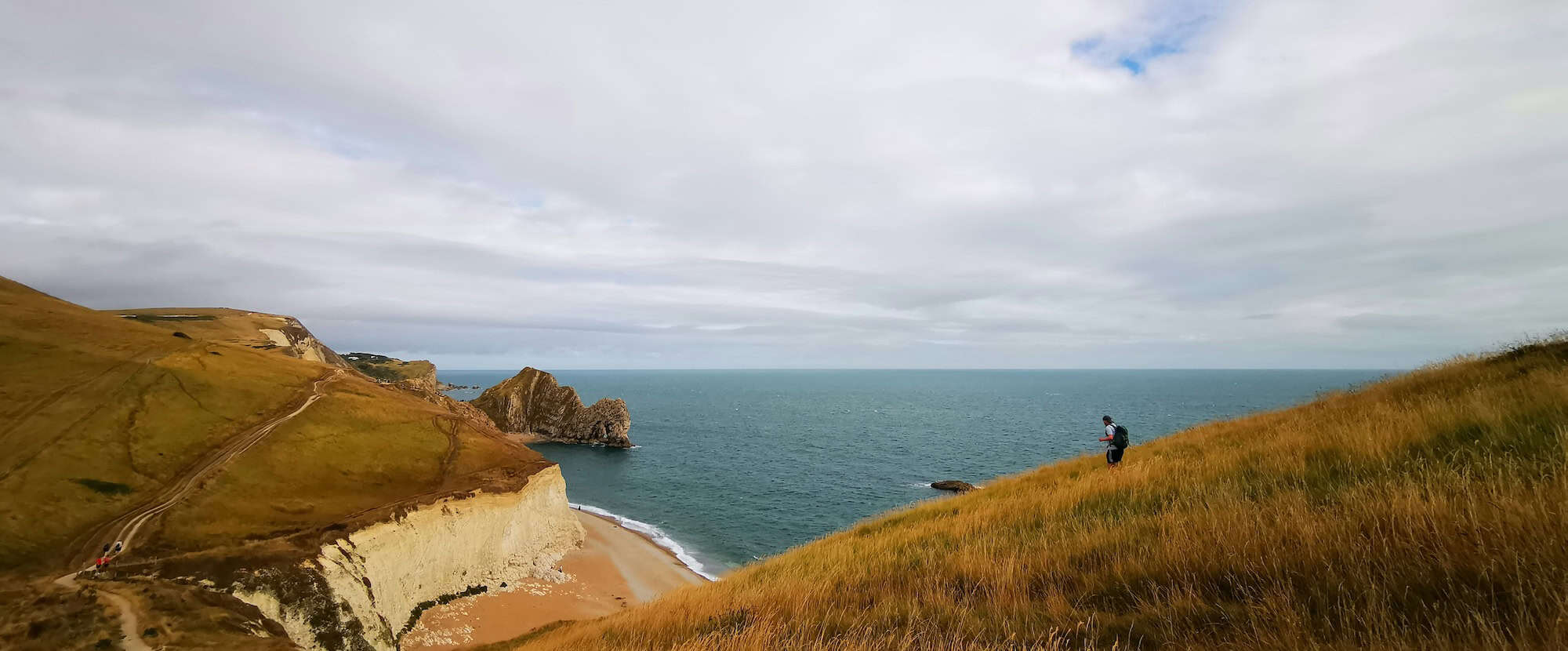 Field topped cliff faces next to the sea