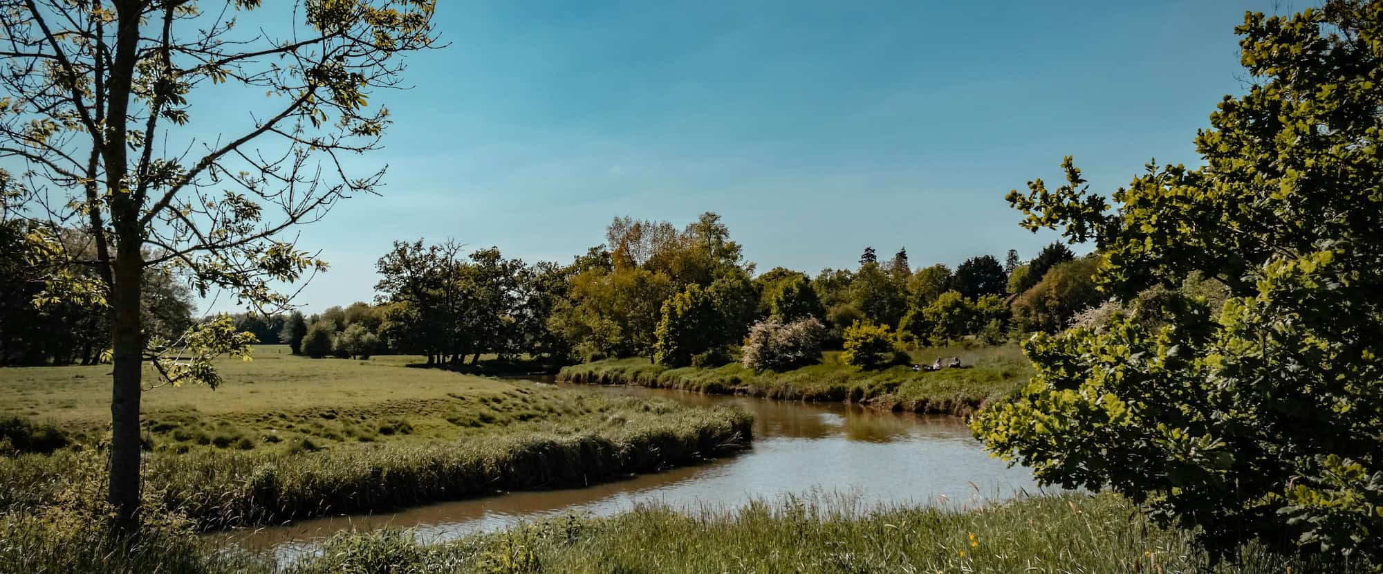 River surrounded by fields and trees